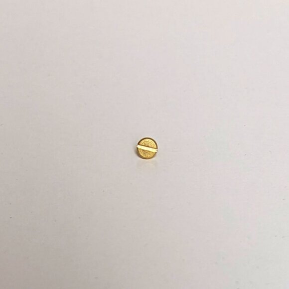 Replacement Screw for Charles Revson The Love Bracelet + Other Brands - Picture 8 of 8